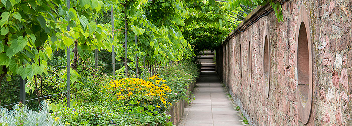 Picture: Paved path in the Palace Gardens