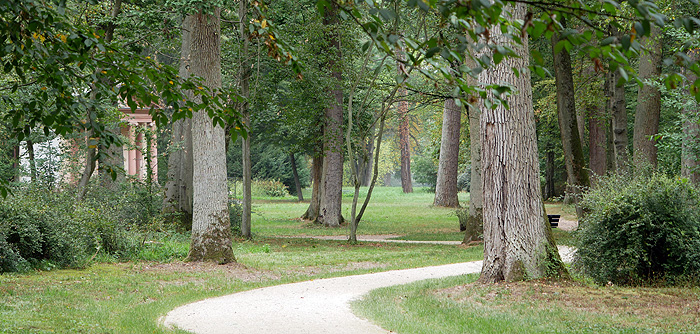 Picture: Path at Schönbusch Park