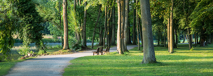Picture: Path and benches in Schönbusch Park